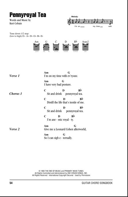 Pennyroyal Tea Guitar Chordslyrics Zzounds