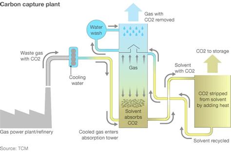 Norway Aims For Carbon Leadership Bbc News