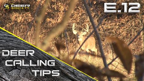 Deer Calling Tips E12 Tending And Breeding Grunts Youtube