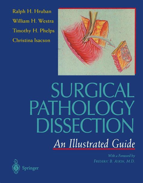 Surgical Pathology Dissection An Illustrated Guide English Edition