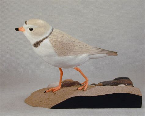 Piping Plover Original Bird Wood Carving Ebay