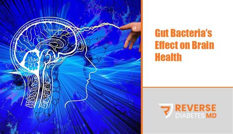 Gut Bacterias Effect On Brain Health Reversing Diabetes