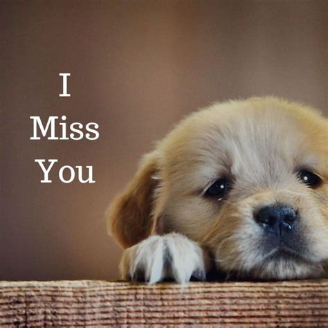 I Miss You Keep Quotes I Miss You Cute Miss You Funny Cute Miss You