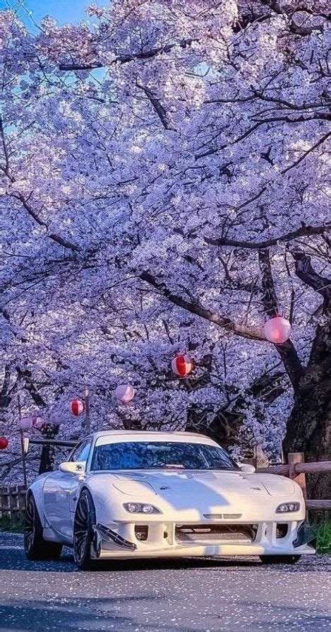 Jdm Cherry Blossom Car Wallpaper Form Function Fuji Fever