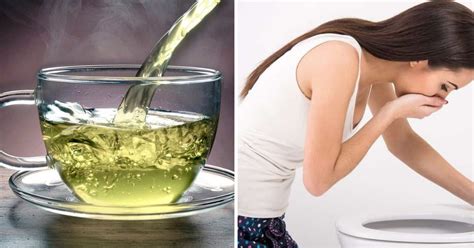 Why Some People Throw Up After Drinking Green Tea Just Tea