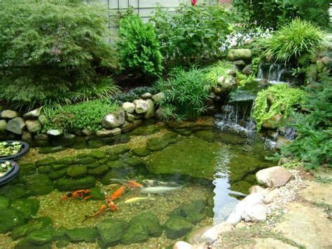 If you have a koi pond or water feature, you know how much work it takes to keep it looking good. Koi Ponds Don't Need to Look Like Black Liner Pools ...