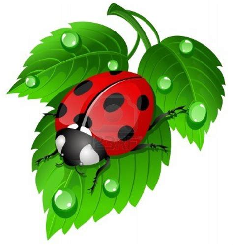 38 Cute Ladybug Clipart Free Collection