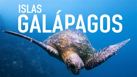 guía de viaje para las islas galápagos