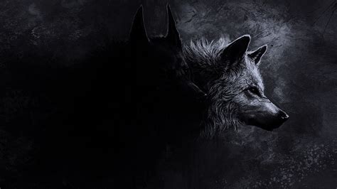 22 Black Wolf Wallpapers Wallpaperboat