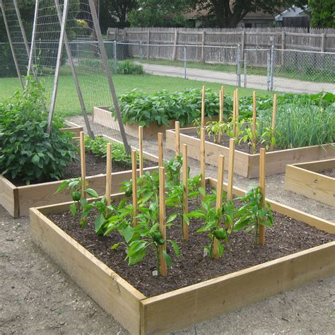 Simple Vegetable Garden Ideas For Your Living Amaza Design
