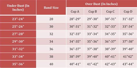 Both charts lets you convert between us size and uk, europe, france, spain, japan. How to Find the Right Bra Size? - Clovia Blog