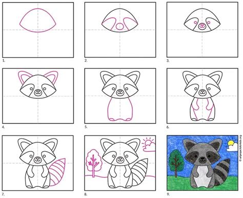 How To Draw An Easy Raccoon Tutorial And Coloring Page