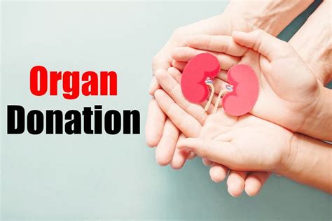 Organ Donation 5 Things To Keep In Mind When Considering To Donate Organ