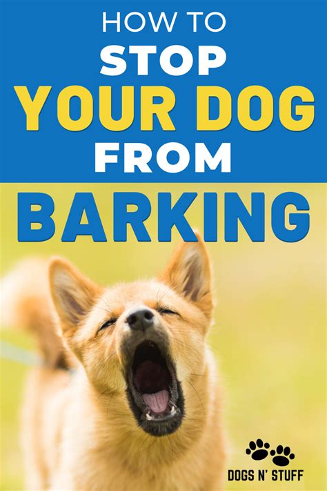 7 Steps To Stop Your Dog From Barking At Everything Dog Training