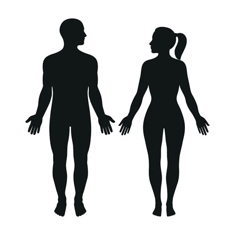 ilustración de una silueta de un hombre y una mujer 14719550 Vector en