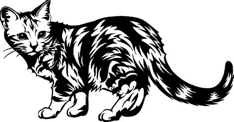 The photograph, edition 2/24, was in a planned. Black Cat Image - Cliparts.co