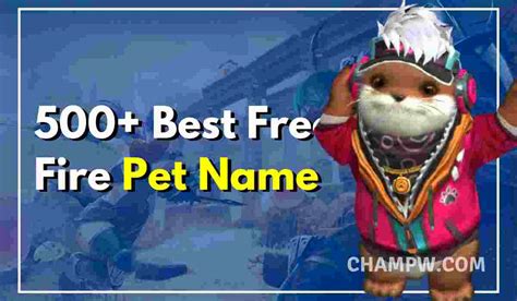 Compare pet insurance options from the industry's best providers. 500+ Best Free fire Pet Name you should not Miss in 2021 - crystalriverreit.com - Insurance ...