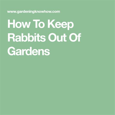 How To Keep Rabbits Out Of Gardens Keep Rabbits Out Of Garden How To