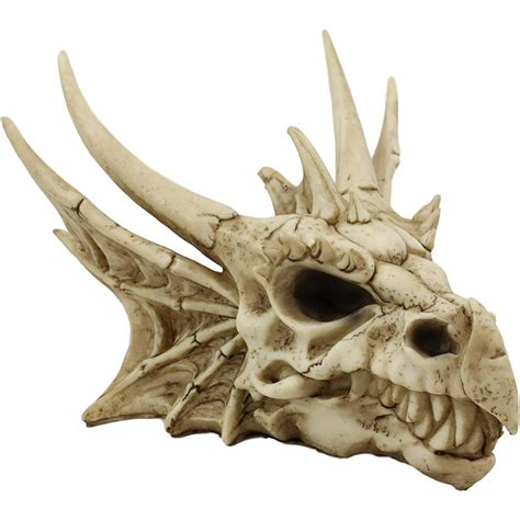 Ebros Elder Jurassic Dragon Head Skull Realistic Fossil Statue 9 Long