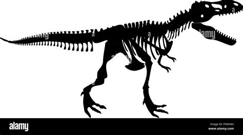 T Rex Silueta Esqueleto De Dinosaurio Dibujo Micronica68