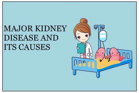 Major Kidney Disease And Its Causes Aashlok Hospital
