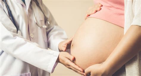 Curso Sobre Embarazo Y Fertilidad En Las Enfermedades Reum Ticas