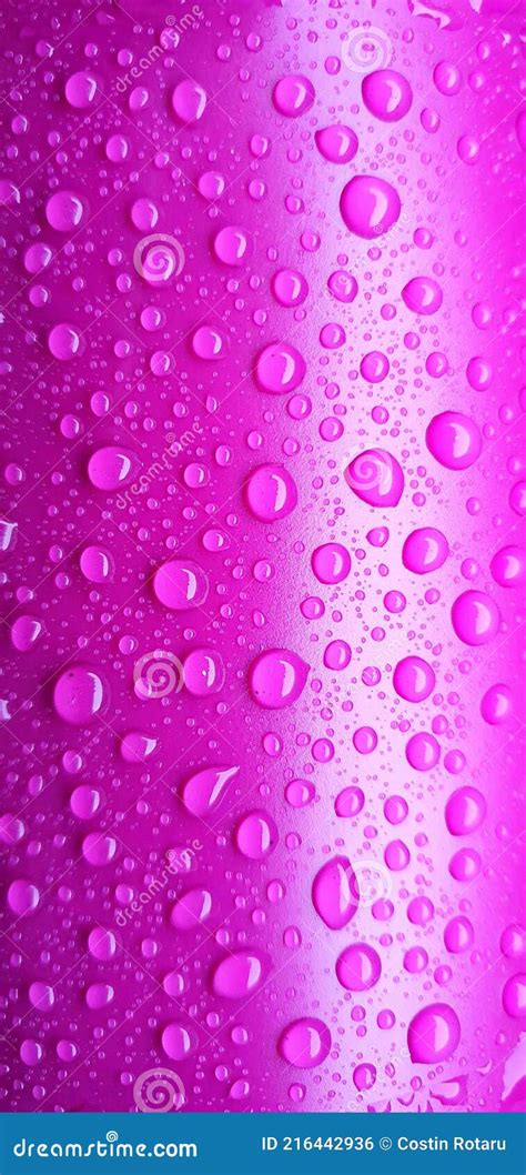 Fuchsia Wallpaper With Water Drops Stock Photo Image Of Organ