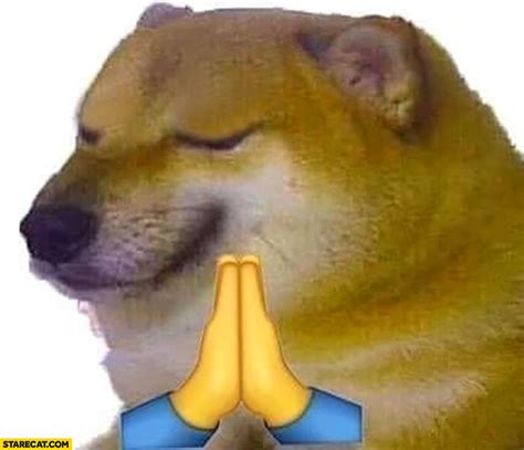 Dog Praying Meme