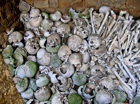 Près de Guingamp : d'où viennent ces os humains exposés dans le bourg de Lanrivain ? | L'Écho de ...