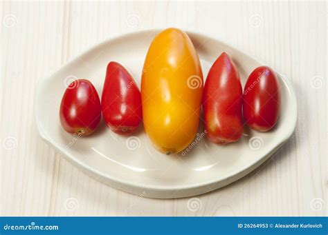 Five Oblong Tomatoes Stock Image Image Of Orange Dish 26264953