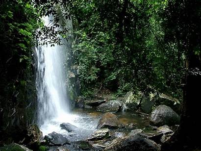 Nature Waterfall Resolution Natural Backgrounds Jungle Shower