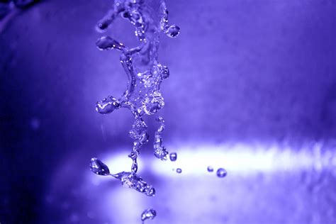 Fotos Gratis Agua Soltar Líquido Flor Púrpura Hielo Reflexión
