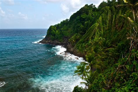 Visit the island of dominica, immerse yourself in nature & adventure, and discover why dominica is the best kept secret in the caribbean. On Dominica, a Carnival Celebration as It Was Meant to Be - The New York Times