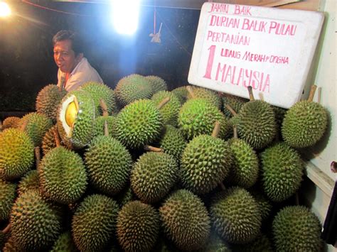 Maybe you would like to learn more about one of these? -: Durian Balik Pulau.