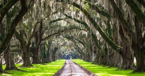 11 Top Rated Tourist Attractions In South Carolina Bizglob