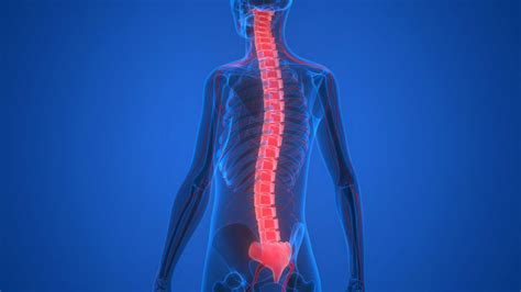 Situations Where You May Need A Spinal Cord Injury