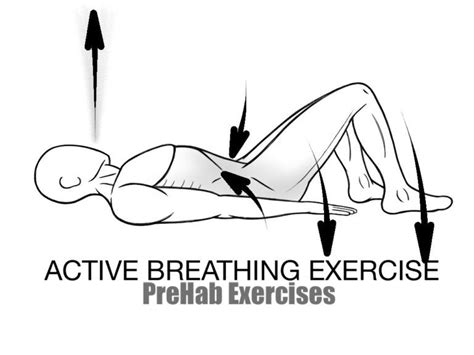 Guide To Foam Rolling A Basic Blueprint For Soft Tissue Therapy Prehab Exercises Trx Yoga