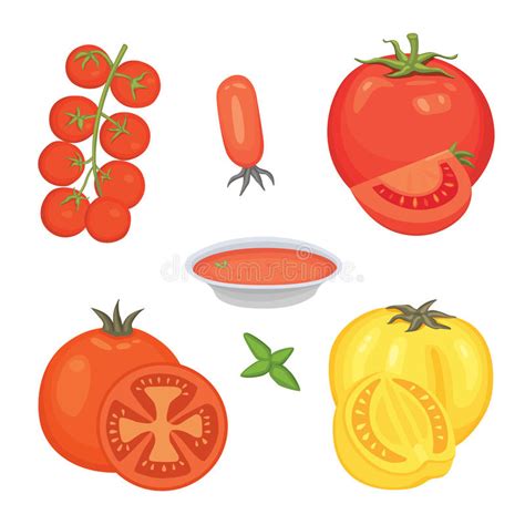 Collection Of Fresh Red Tomatoes And Soup Vector Illustrations Half