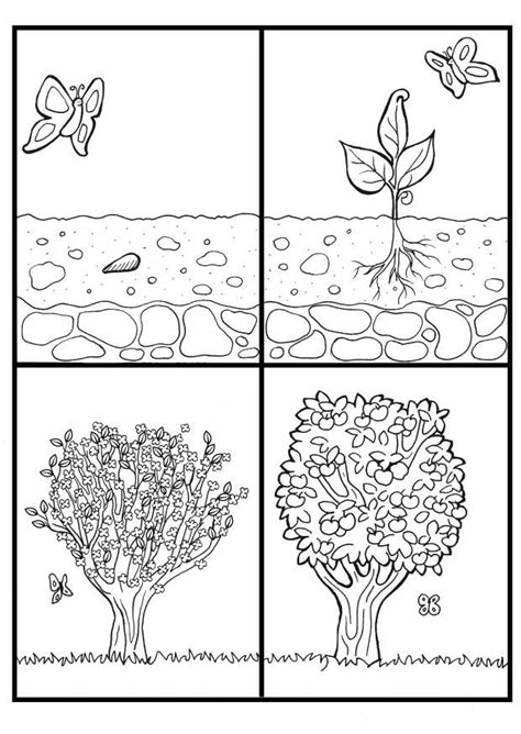 Includes all letters of the alphabet. life cycle of apple tree coloring page - Google Search ...