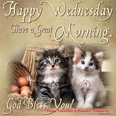Happy Wednesday Have A Great Morning Pictures Photos And Images For