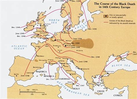 Die ausbreitung der bakterien geschieht durch rattenflöhe. Ripasso Facile: RIASSUNTO LA CRISI DEL '300