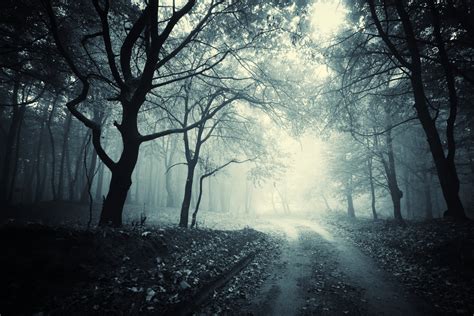 5 Halloween Road Trip Destinations To Die For