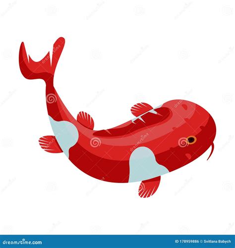 Carp Vector Iconcartoon Vector Icon Isolated On White Background Carp