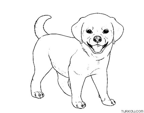 Real Dog Coloring Pages Home Design Ideas