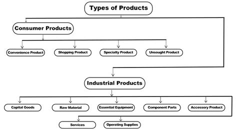 Types Of Products Difference And Examples Parsadi