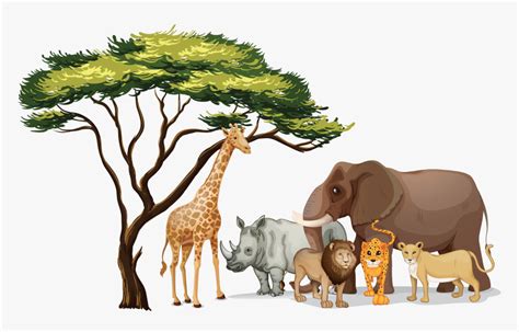 Pictures Of Jungle Animals Png African Animals Clip Art Transparent