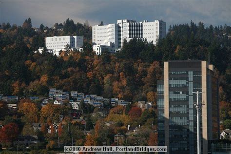 Veterans Hospital Ohsu Portland Aerial Tram Fall Leaves Portland