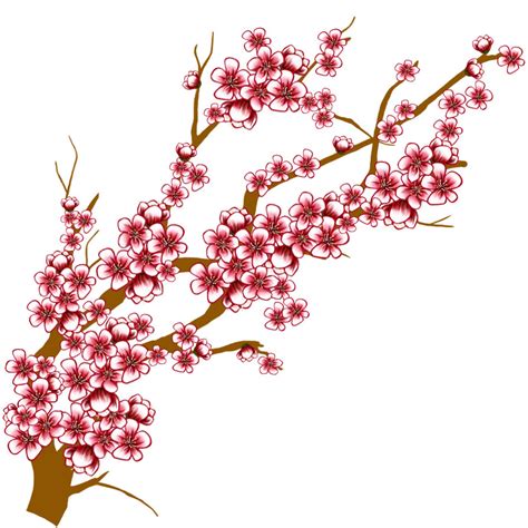 Cartoon Cherry Blossom Tree Clipart Best