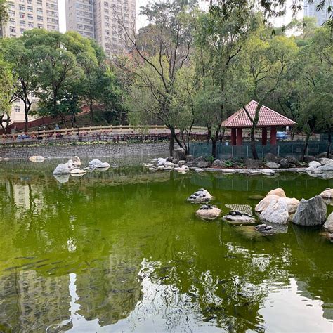 Chai Wan Park Hong Kong All You Need To Know Before You Go
