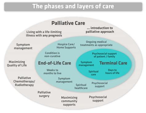 What Is Palliative Care Hospice Palliative Care